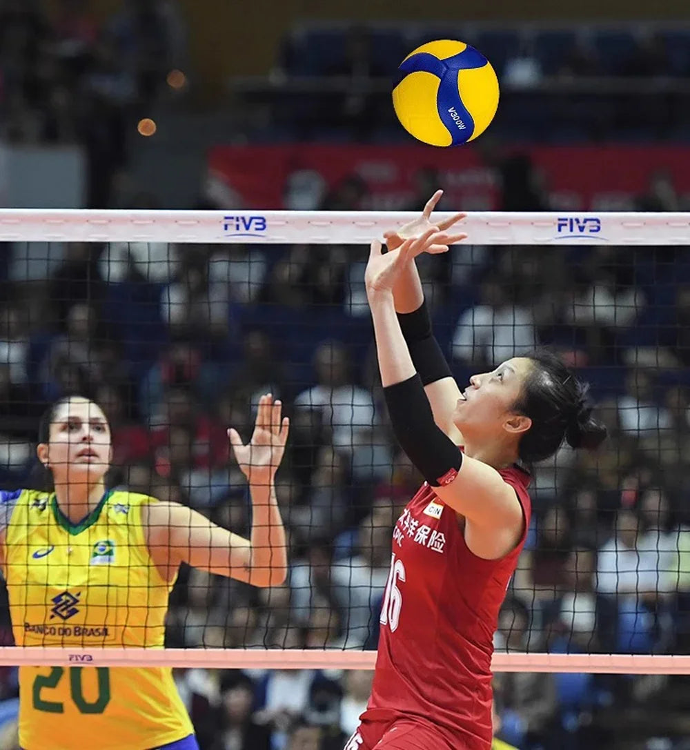 No.5 Outdoor/Indoor Training Volleyball