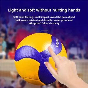 No.5 Outdoor/Indoor Training Volleyball
