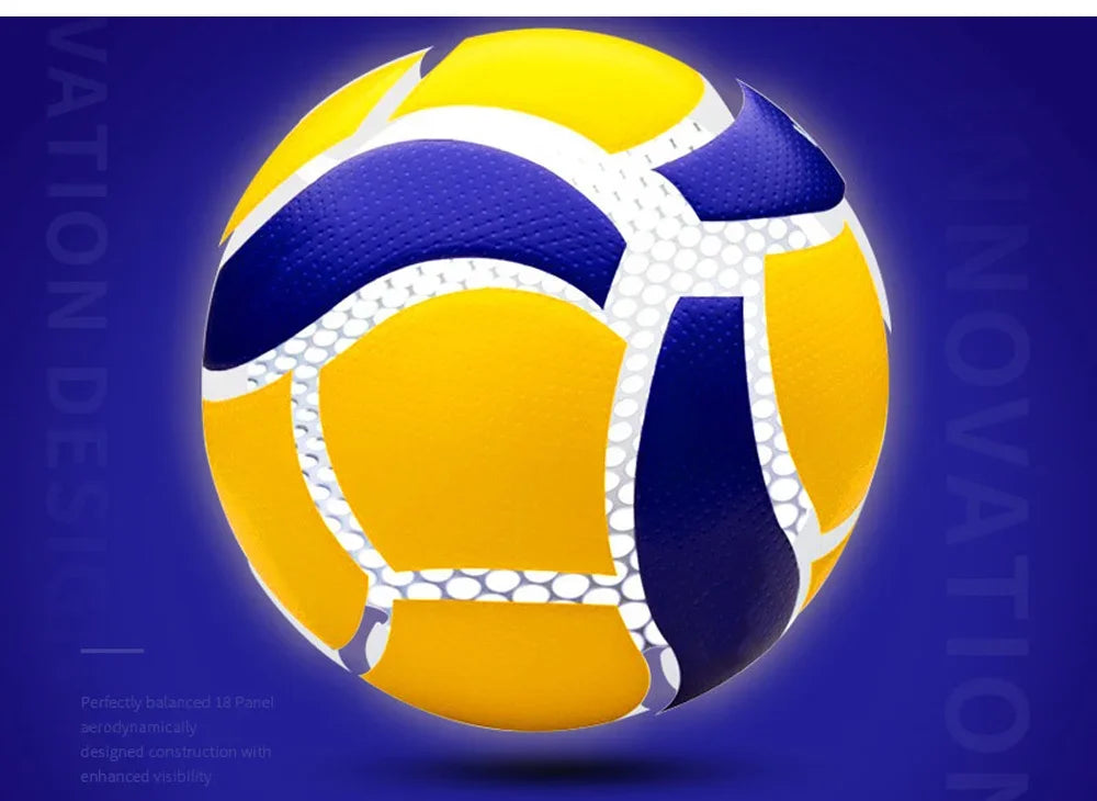 No.5 Outdoor/Indoor Training Volleyball
