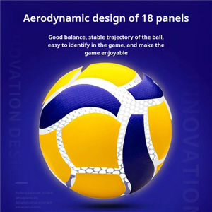 No.5 Outdoor/Indoor Training Volleyball